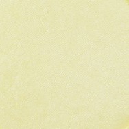 1110 panpastel 9515 pearlescent yellow