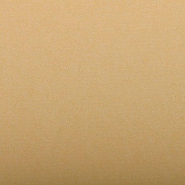 1150b feuille ingres pastel 130 g 50 x 65 ecru