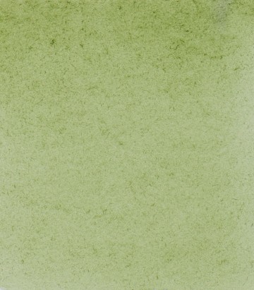 14516 schmincke horadam aquarelverf green earth 0