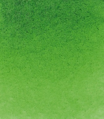 14530 schmincke horadam aquarelverf sap green 0