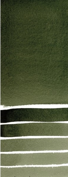 1695 daniel smith aquarelverf 24 napjes perylene green