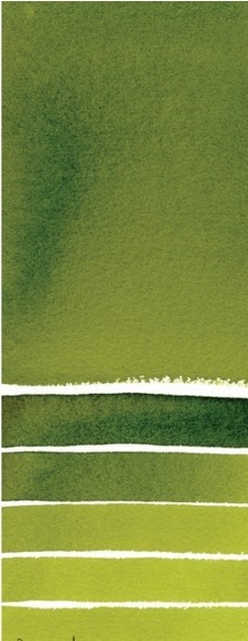 1695 daniel smith aquarelverf 24 napjes sap green