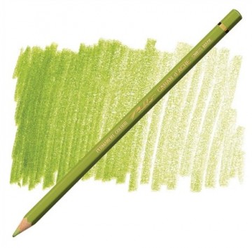 178 016 caran d ache pablo khakigroen