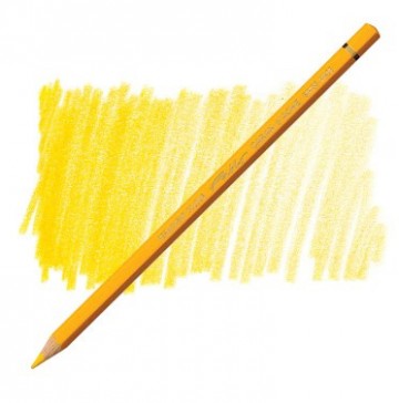 178 020 caran d ache pablo goudgeel