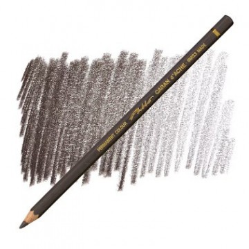 178 407 caran d ache pablo sepia