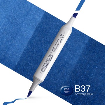 2127 copic sketch alcohol marker b37