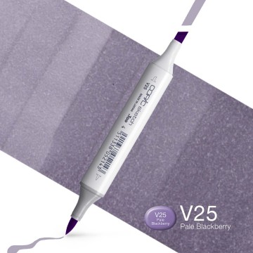 2127 copic sketch alcohol marker v25