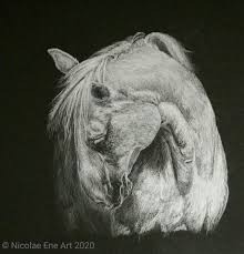 2461 fabriano black 1