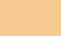 2642 tombow irojiten kleurpotlood apricot