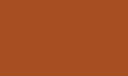 2642 tombow irojiten kleurpotlood cinnamon