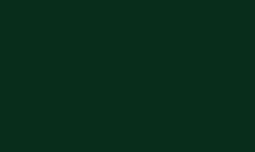 2642 tombow irojiten kleurpotlood forest green