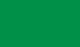 2642 tombow irojiten kleurpotlood parrot green