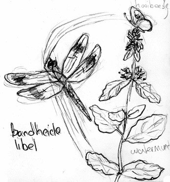 2842 2 natuurjournalen