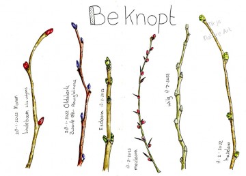 2842 3 natuurjournalen