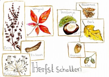 2842 4 natuurjournalen