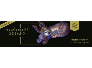 3040 finetec 8001 high sparkle