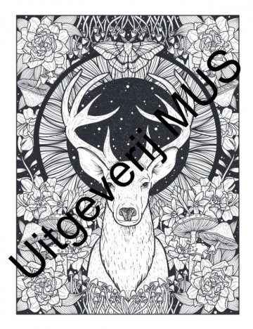 3285 1 boek mystieke dieren