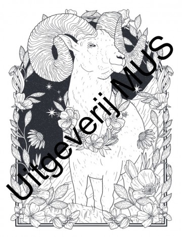 3285 2 boek mystieke dieren