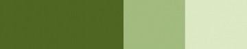3301 532 schmincke horadam gouache olive green 0