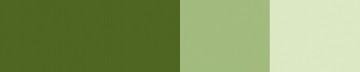 3301 532 schmincke horadam gouache olive green