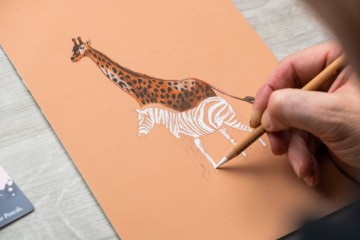 3536 2 cretacolor sketching theme set