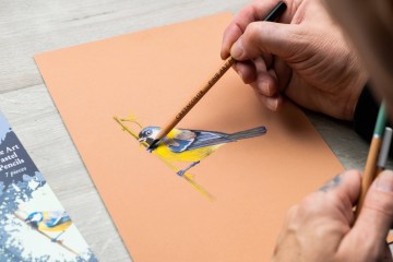 3537 2 cretacolor pastel set