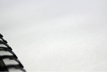 3638 artgecko splashy4