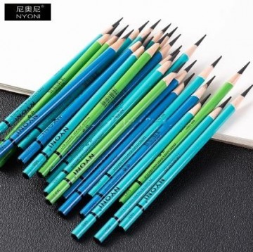 3673 nyoni houtskoolpotlood2