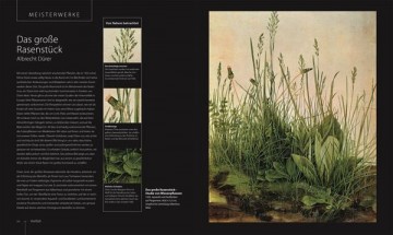 3694 3 botanik fur kunstler