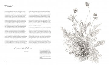 3694 botanik fur kunstler3