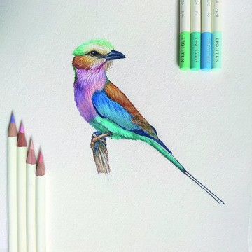 3716 2 tombow irojiten 10 kleurpotloden set 2