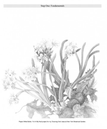 3724 fundamental graphite techniques  katie lee 2