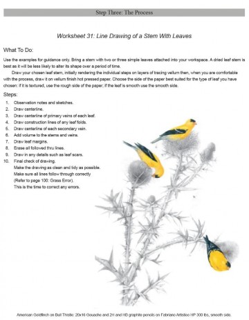 3724 fundamental graphite techniques  katie lee 3