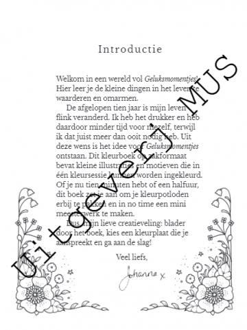 3730 geluksmomentjes johanna basford2