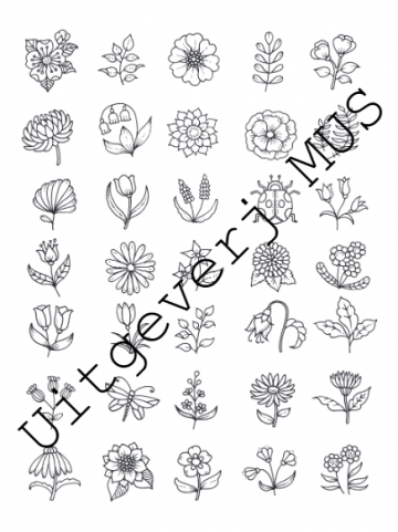 3730 geluksmomentjes johanna basford4