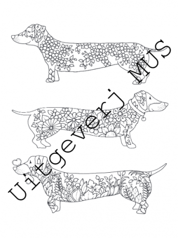 3730 geluksmomentjes johanna basford8