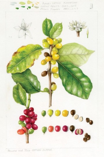 3786 02garden    page 70    acr46074258717120 2830333