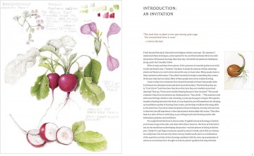 3786 1 the joy of botanical drawing