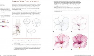 3786 2 the joy of botanical drawing