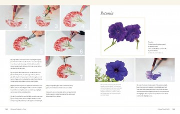 3790 botanical art techniques2