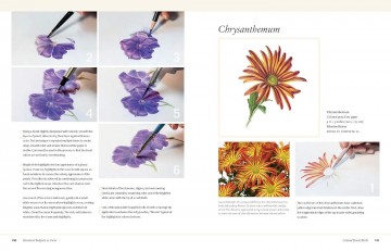 3790 botanical art techniques3