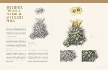 3790 botanical art techniques4