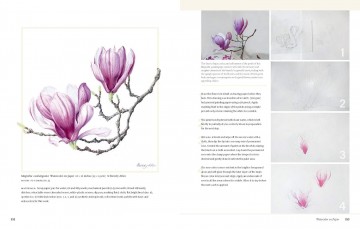 3790 botanical art techniques5