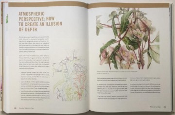3790 botanical art techniques7