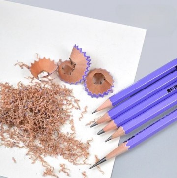 3811 nyoni grafietpotlood2