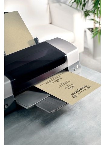 3813 1 sigel designpapier gras