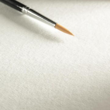 3952 hahnemuhle britannia cold pressed surface