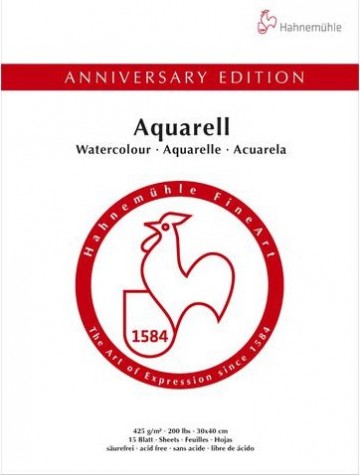 3954 hahnemuhle anniversary edition aquarelpapier 24x32