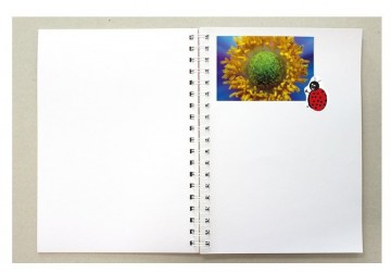 3964 2 kangaro plakboek roze