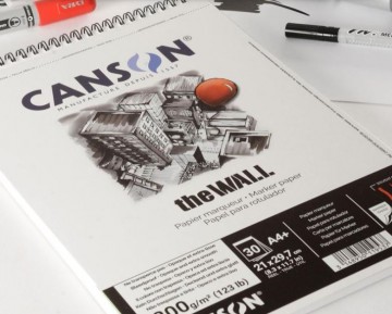4046 canson the wall 2